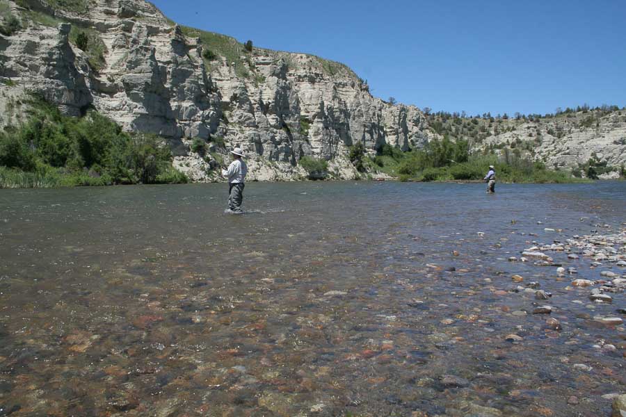 Fly Fishing the Lower Madison River in Montana