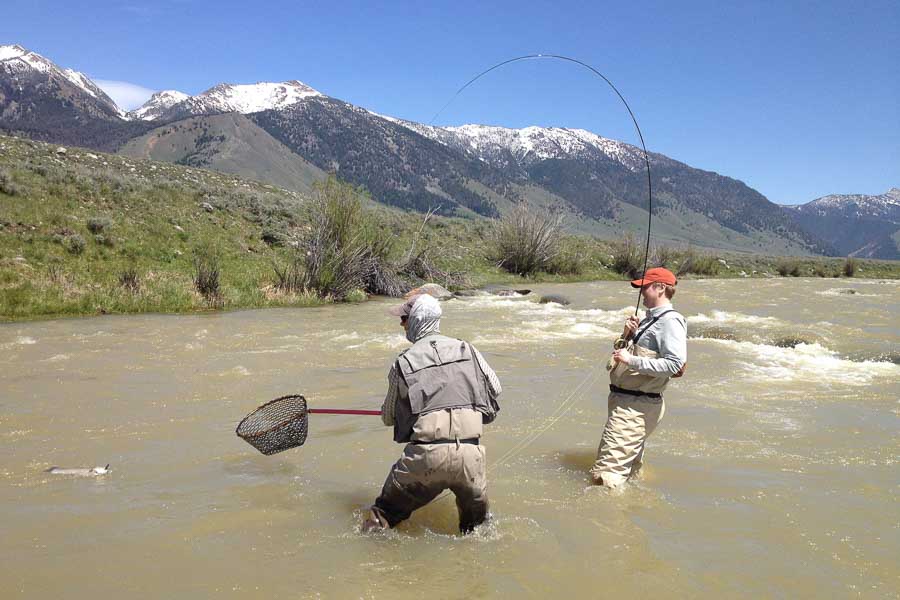 Montana Fly Fishing in May