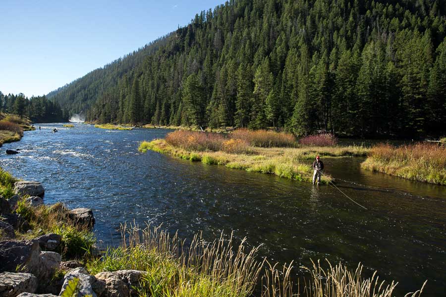 Fall Fly Fishing on the Madison River