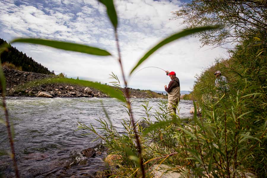Montana Angler Fly Fishing Trips on the Madison River