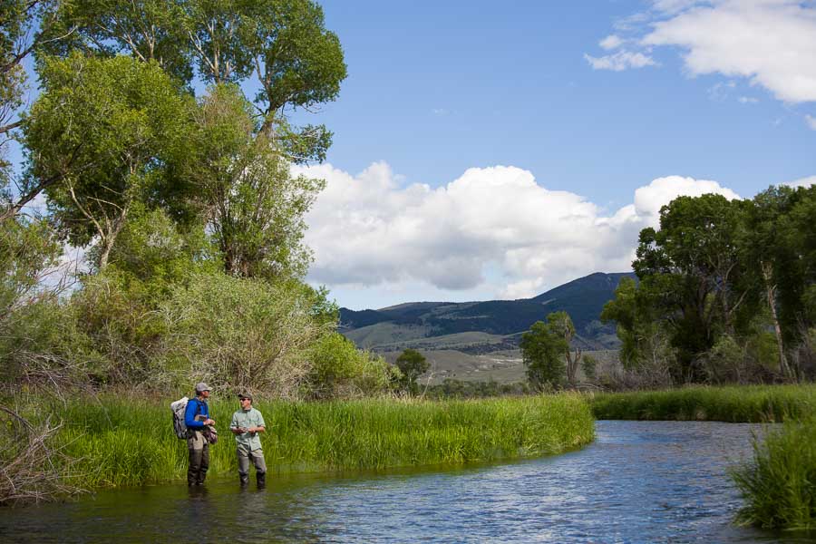 Fly Fishing the Jefferson River in May