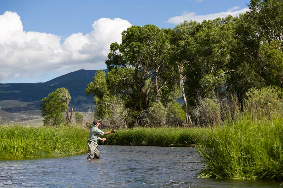 Montana Angler Wade Fishing Trips