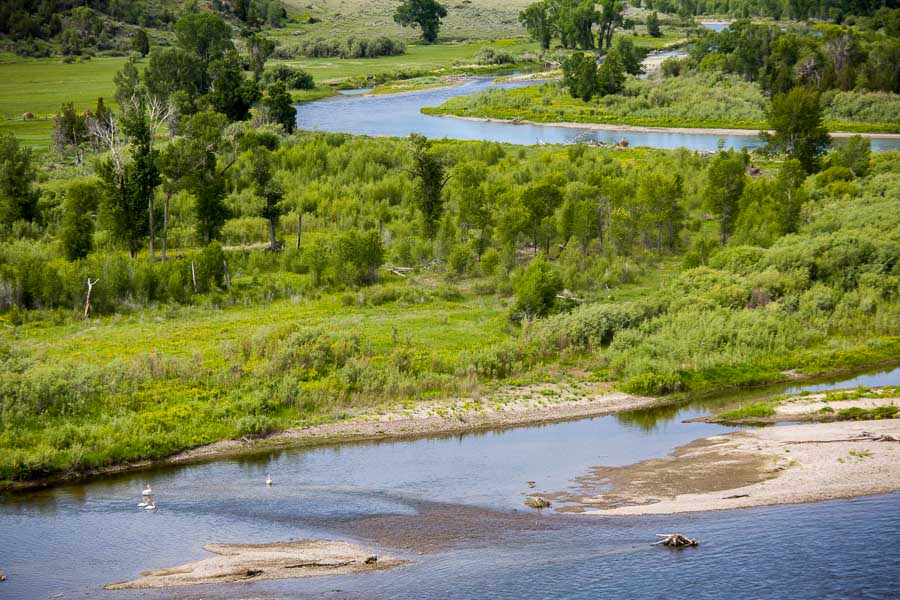 Montana Fly Fishing Guides on the Jefferson River