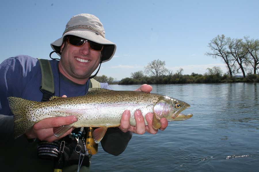 Fly Fishing in Montana