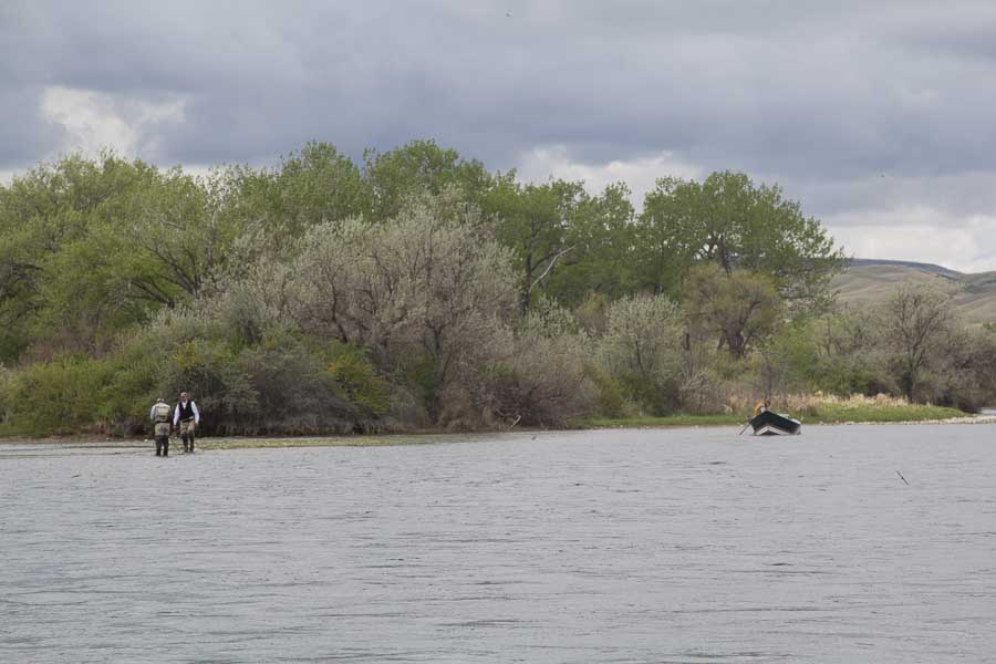 Spring Fishing in Montana