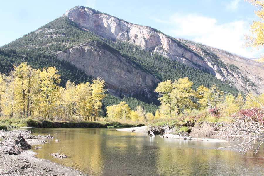 Boulder River Scenery Montana Fly Fishing Trips