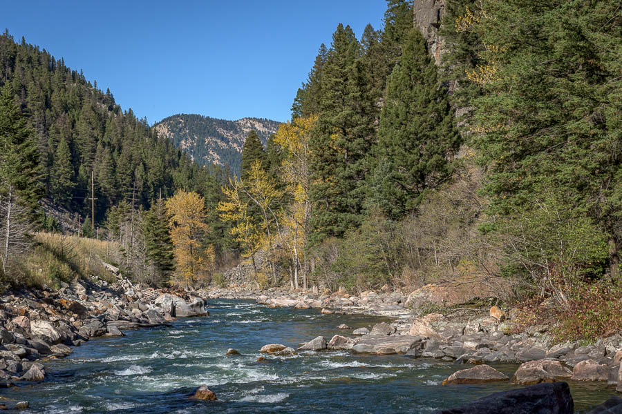 Gallatin River Learn to Fly Fish Montana Whitewater