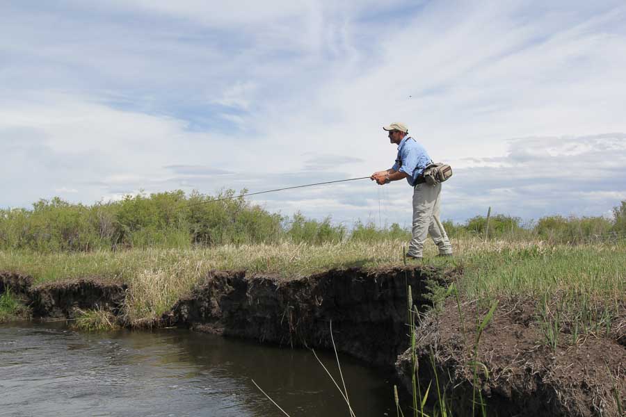 Montana Dry Fly Fishing