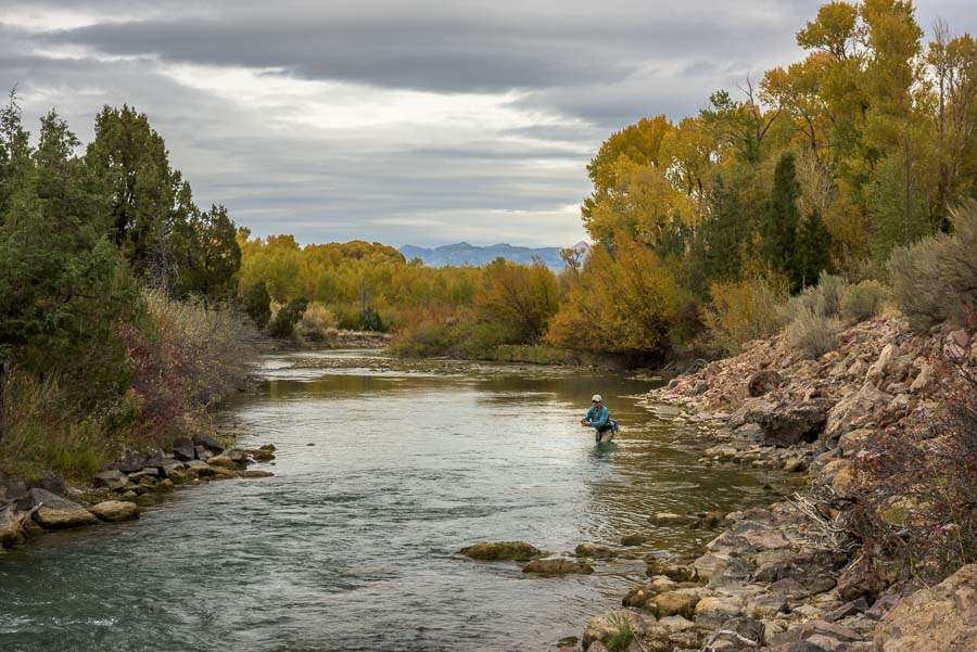 Nymphing the Ruby River in October