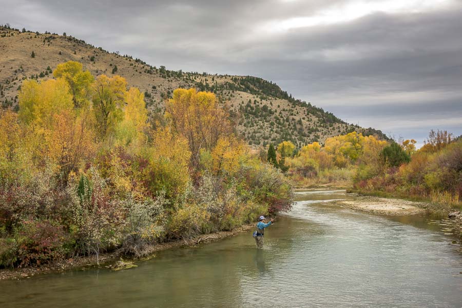 Fall Fly Fishing Trips in Montana