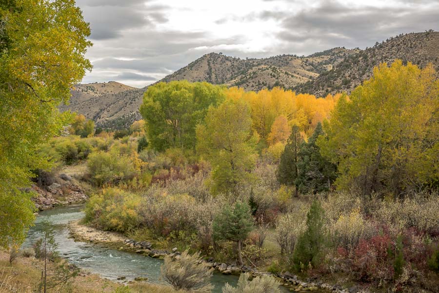 Montana Angler Fishing Trips in the Fall