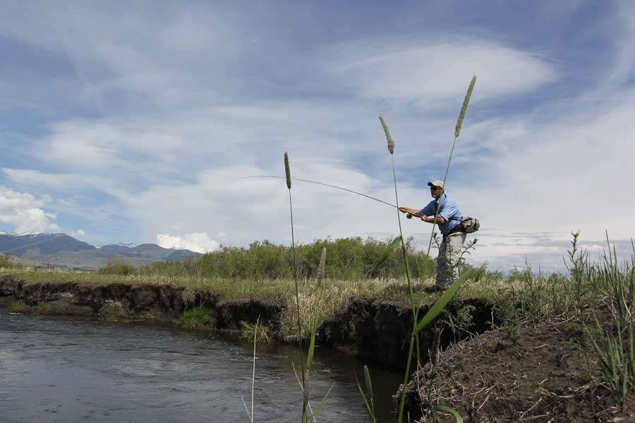 Montana Fly Fishing in August