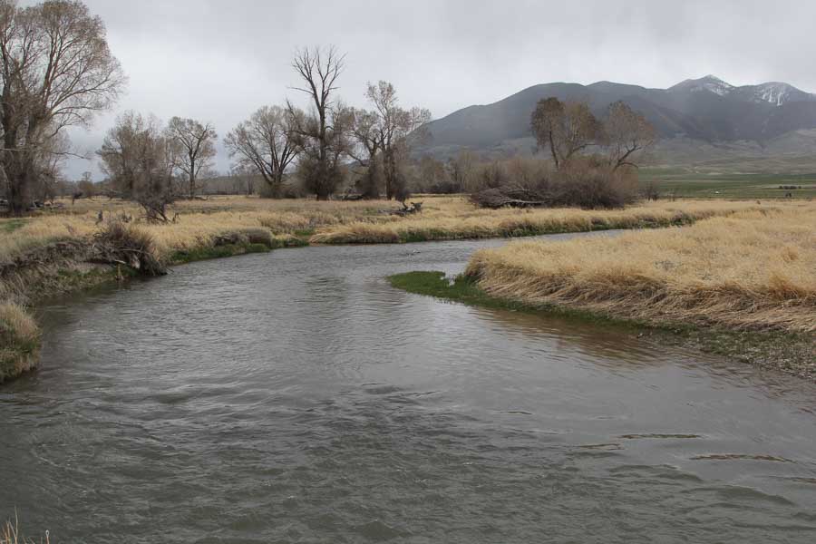 Montana Dry Fly Fishing on the Ruby River