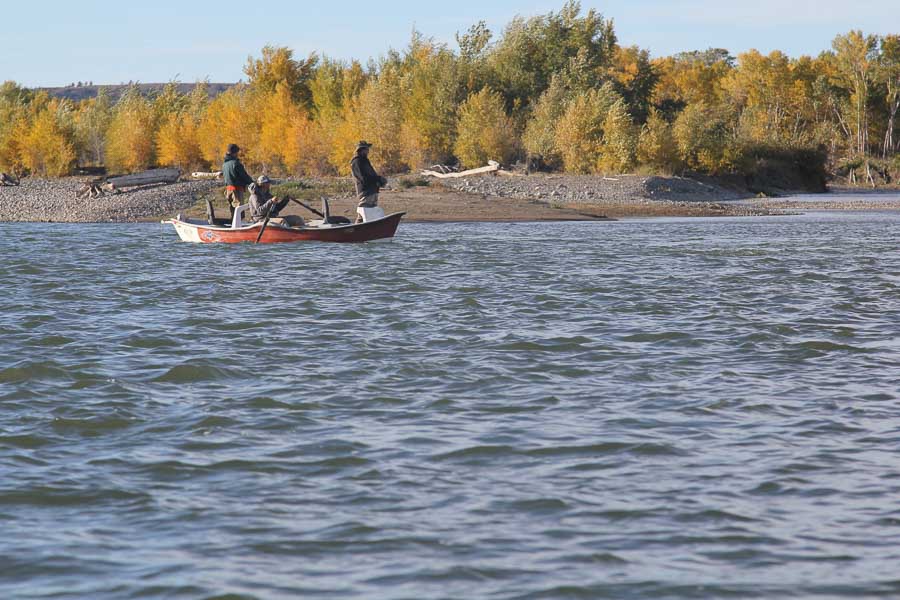 Fly Fishing Montana in October