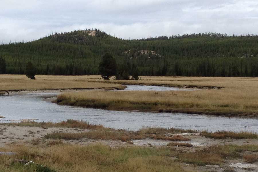 Madison Junction Wade Fishing Yellowstone National Park