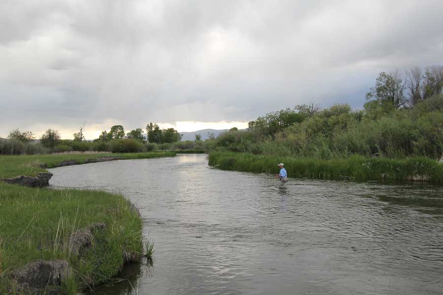 Montana Fly Fishing Guides