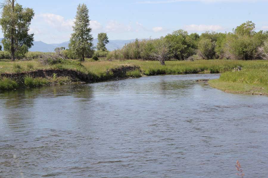 Montana Float Fishing Trips