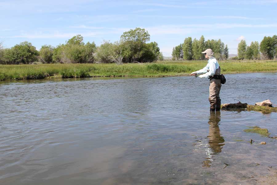 Montana Angler Fly Fishing Trips