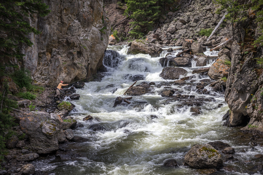 Fly Fishing Trips in Yellowstone National Park