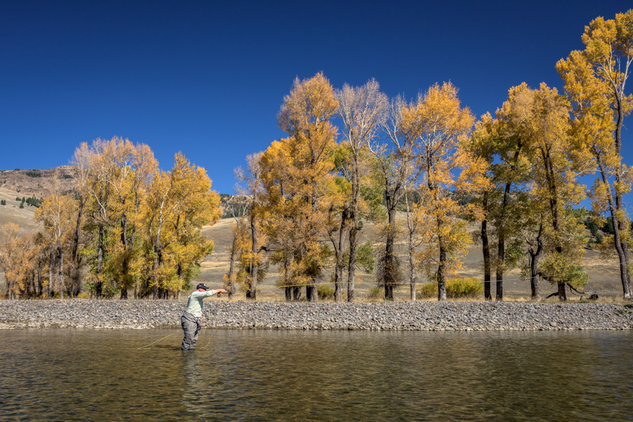 Fly Fishing the Lamar River in Yellowstone National Park