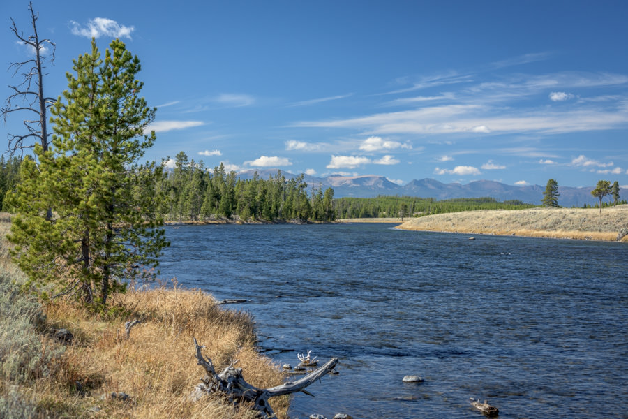 Madison in Yellowstone Park Montana Angler guided wade trips in Yellowstone national Park