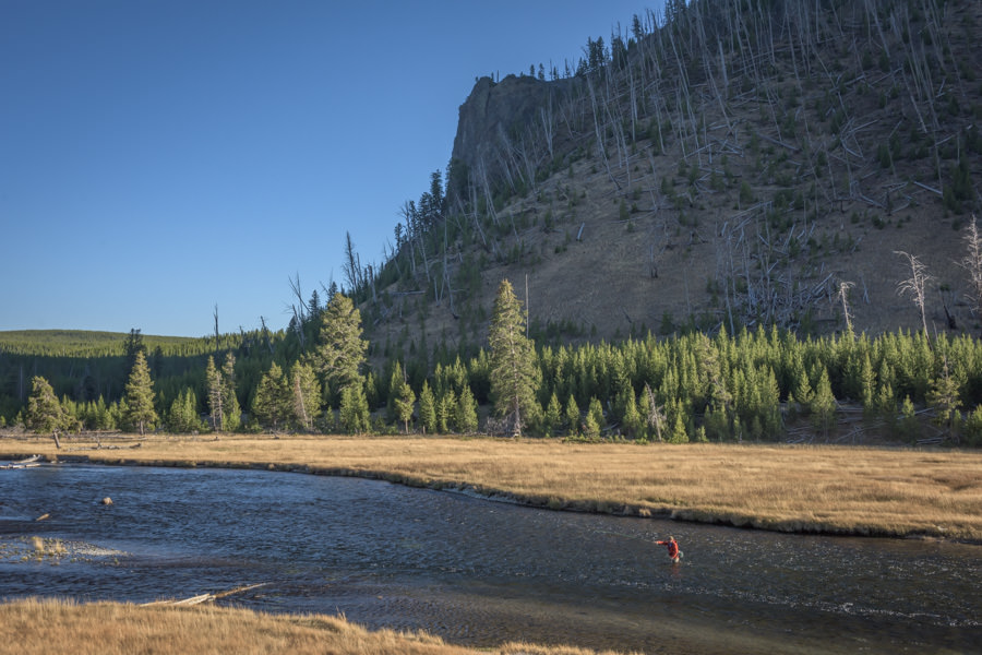 Madison River YNP Walk Wade Trips in Yellowstone Park
