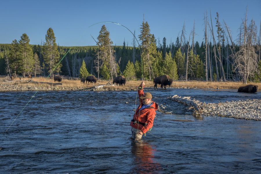 Fishing the Madison October fly fishing in Montana