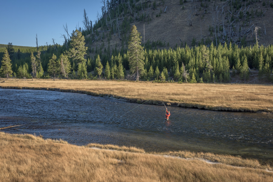 Fly Fishing the Madison Montana Angler Trips on the Madison River