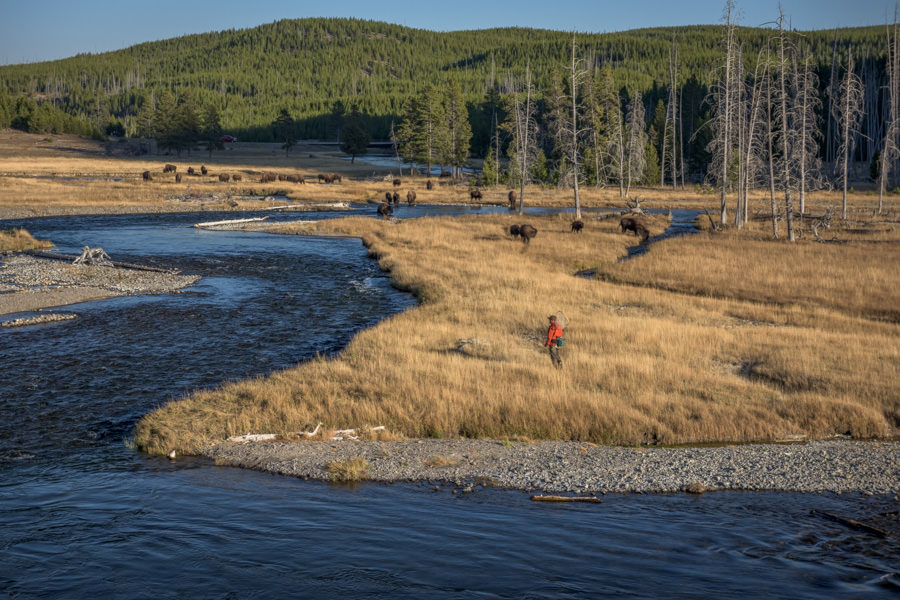 October in Yellowstone Montana Angler guided fly fishing trips in October