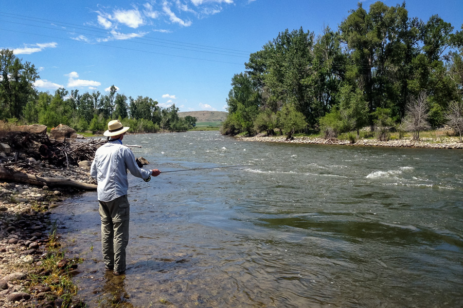 Montana Angler wade fishing trips