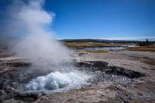 Yellowstone NP